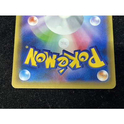 画像6: ポンチョを着たピカチュウ【P】{230/XY-P}