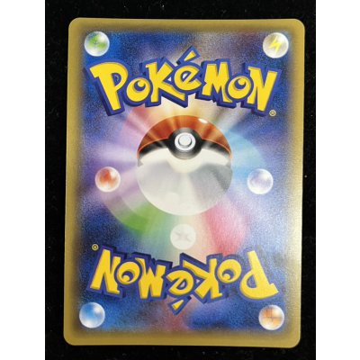 画像5: ポンチョを着たピカチュウ【P】{230/XY-P}