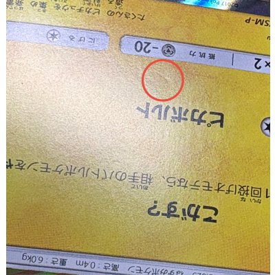 画像14: 〔状態B〕ポンチョを着たピカチュウ【P】{038/SM-P}