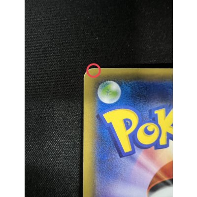 画像9: ポンチョを着たピカチュウ【P】{231/XY-P}