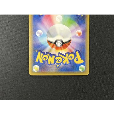 画像7: ポンチョを着たピカチュウ【P】{231/XY-P}