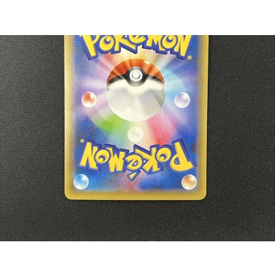 画像6: ポンチョを着たピカチュウ【P】{231/XY-P}
