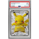 〔PSA10鑑定済〕ピカチュウ【P】{229/BW-P}