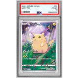 〔PSA10鑑定済〕ピカチュウ(25th)【-】{001/028}