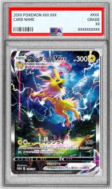 〔PSA10鑑定済〕サンダースVMAX(SA仕様)【P】{188/S-P}