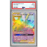 〔PSA10鑑定済〕ブラッキー＆ダークライGX【HR】{215/173}