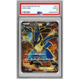 〔PSA10鑑定済〕ルカリオEX【SR】{099/096}