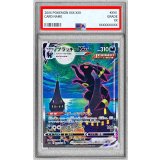 〔PSA9鑑定済〕ブラッキーVMAX(SA)【HR】{095/069}