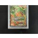 画像3: 〔※状態難/PSA10鑑定済〕レックウザEX【SR】{053/050} (3)