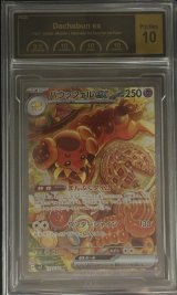 〔PCG10鑑定済〕バウッツェルex【SAR】{129/102}
