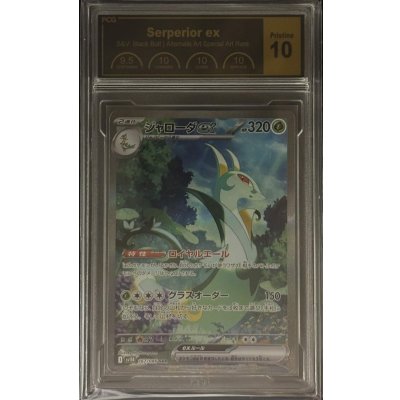 画像1: 〔PCG10鑑定済〕ジャローダex【SAR】{167/086}