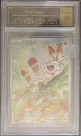 〔PCG10鑑定済〕ヒバニー(AR仕様)【-】{745/742}