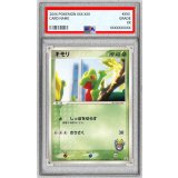 〔PSA10鑑定済〕キモリ【P】{037/PCG-P}