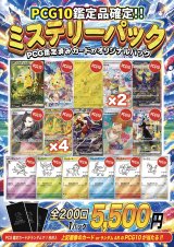 《No.849》PCG10のみ！1口5500円ミステリーパック【No.849】{￥5500}