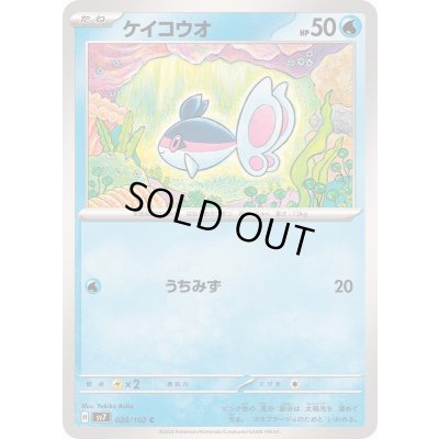 画像1: ケイコウオ【C】{020/102}