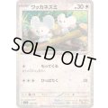 ワッカネズミ(ミラー/ハイクラスパック仕様)【-】{152/190}