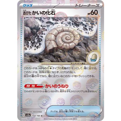 古びたかいの化石(ミラー)【C】{154/165}
