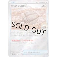 〔状態A-〕古びたこうらの化石(ミラー)【C】{155/165}