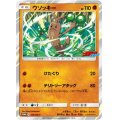 〔状態B〕ウソッキー【P】{319/SM-P}
