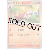 アチゲータ【-】{031/190}
