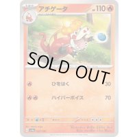 アチゲータ【-】{031/190}