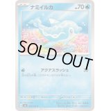 ナミイルカ【C】{034/101}