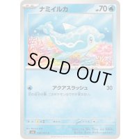 ナミイルカ【C】{034/101}