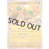 ヒビキのウソッキー【C】{041/063}