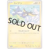 カイデン【C】{043/101}