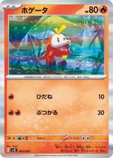 〔状態A-〕ホゲータ(R仕様)【-】{005/020}