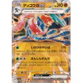 ゲッコウガex【RR】{045/066}