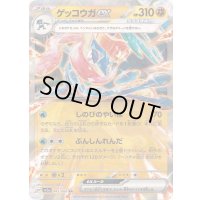 〔状態A-〕ゲッコウガex【RR】{045/066}