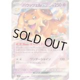 〔状態A-〕バウッツェルex【RR】{046/102}