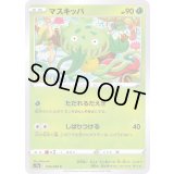 マスキッパ【C】{004/068}