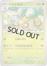 ハヤシガメ【C】{004/071}