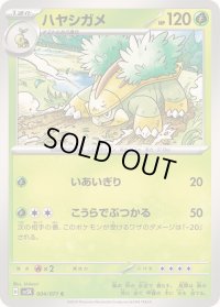 ハヤシガメ【C】{004/071}