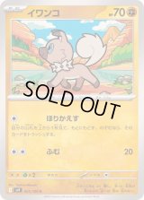 イワンコ【C】{051/100}