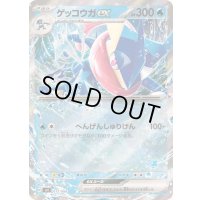 〔状態B〕ゲッコウガex(RR仕様)【-】{017/066}