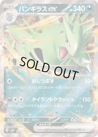 〔状態B〕バンギラスex(RR仕様)【-】{078/175}