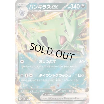 画像1: 〔状態B〕バンギラスex(RR仕様)【-】{078/175}