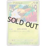 アゴジムシ【C】{007/102}