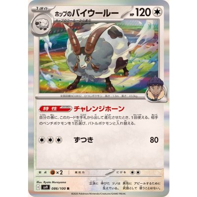 〔状態A-〕ホップのバイウールー【R】{086/100}