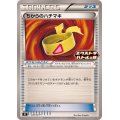 〔状態A-〕ちからのハチマキ【P】{228/SV-P}