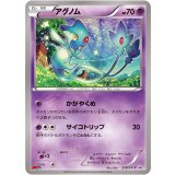 〔状態A-〕アグノム【P】{219/XY-P}