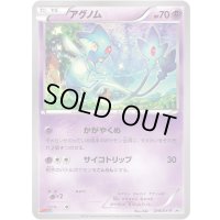 〔状態A-〕アグノム【P】{219/XY-P}