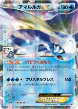 〔状態B〕アマルルガEX【P】{168/XY-P}