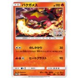 〔状態A-〕バクガメス【P】{054/SM-P}