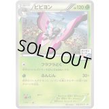 ビビヨン【P】{165/XY-P}