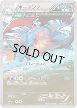 ボーマンダ【P】{124/XY-P}