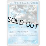 ブラックキュレム【P】{239/XY-P}